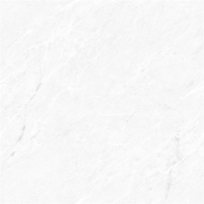 A-666W8305-香雪梅