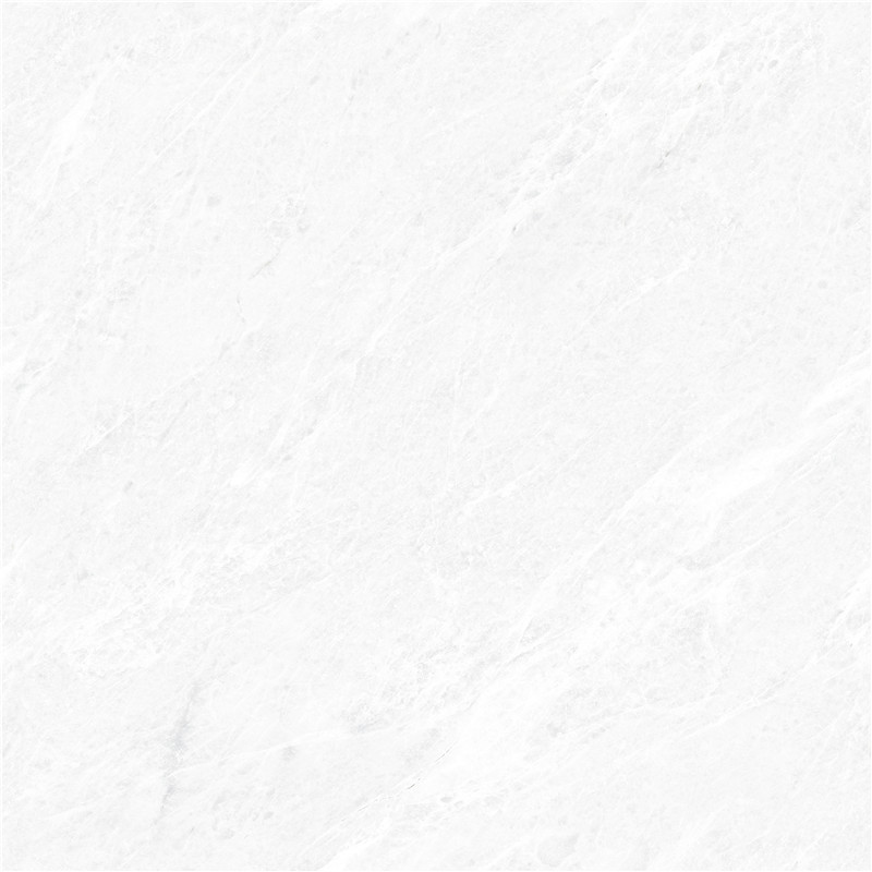 A-666W8305-香雪梅