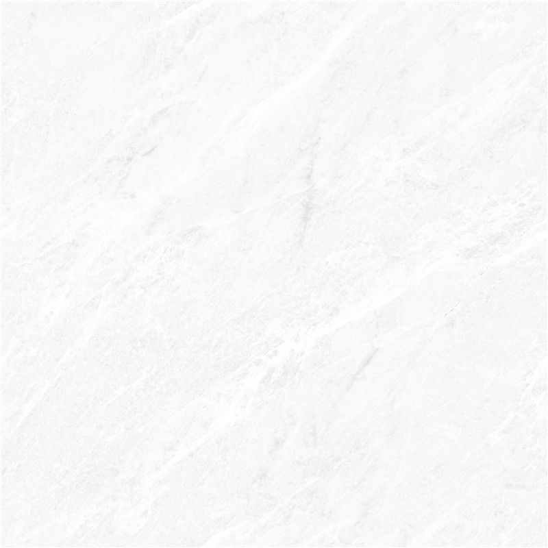 A-666W8305-香雪梅