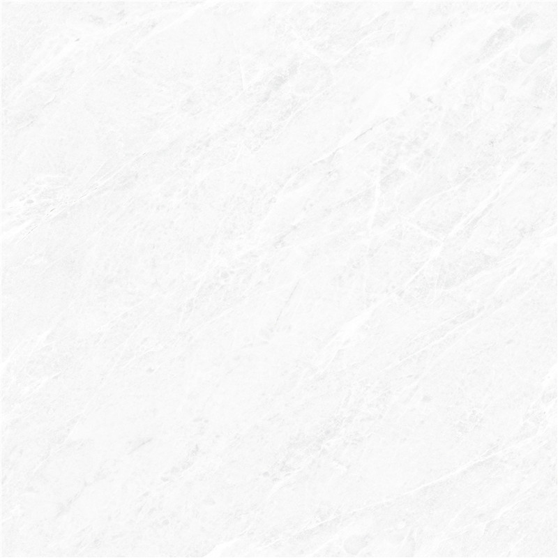 A-666W8305-香雪梅