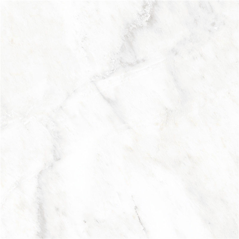 A-666W8310-东方白