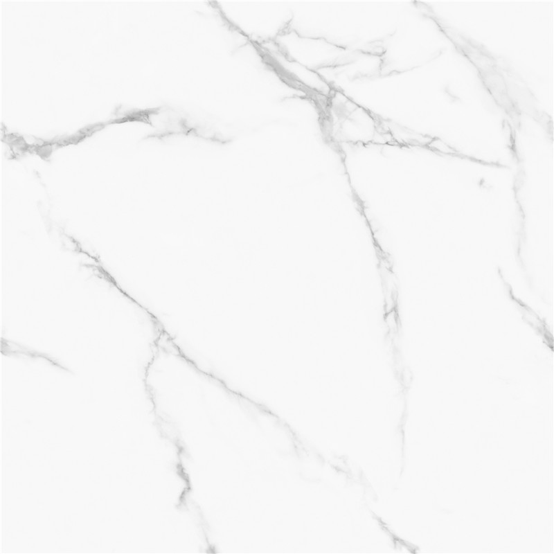 A-GT8611-顶级鱼肚白