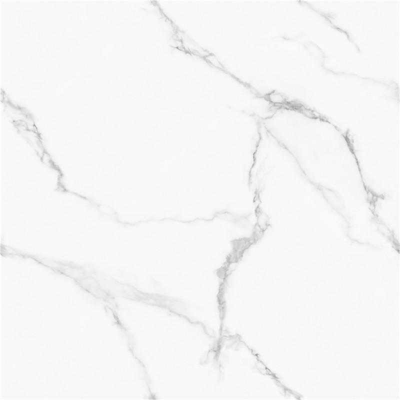 A-GT8611-顶级鱼肚白