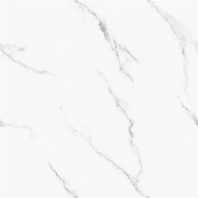 A-GT8611-顶级鱼肚白