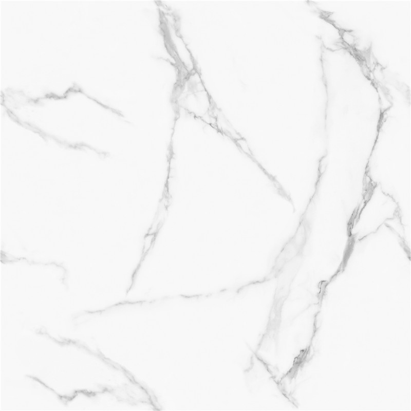 A-GT8611-顶级鱼肚白