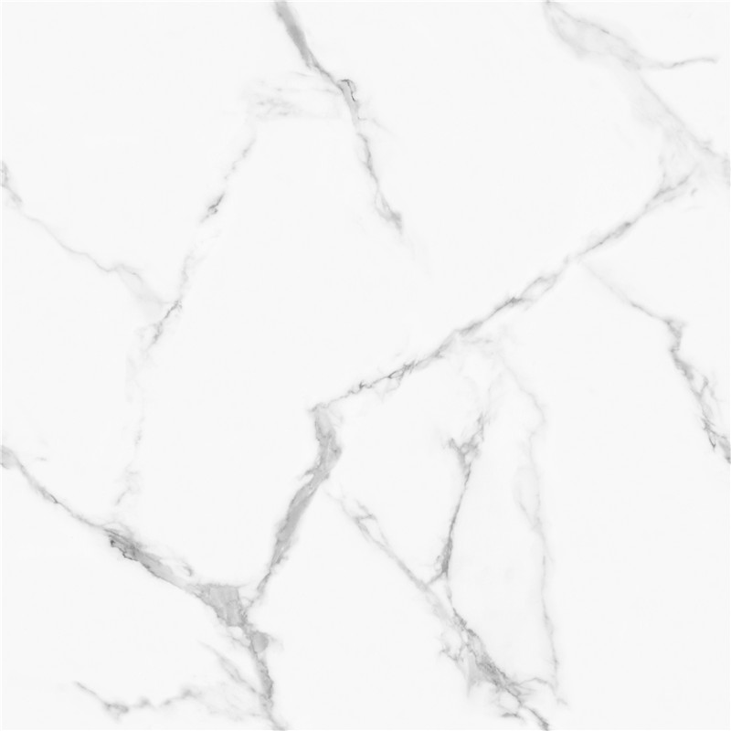 A-GT8611-顶级鱼肚白