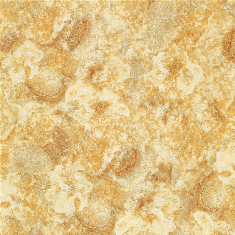 A-HC8801凯撒大帝