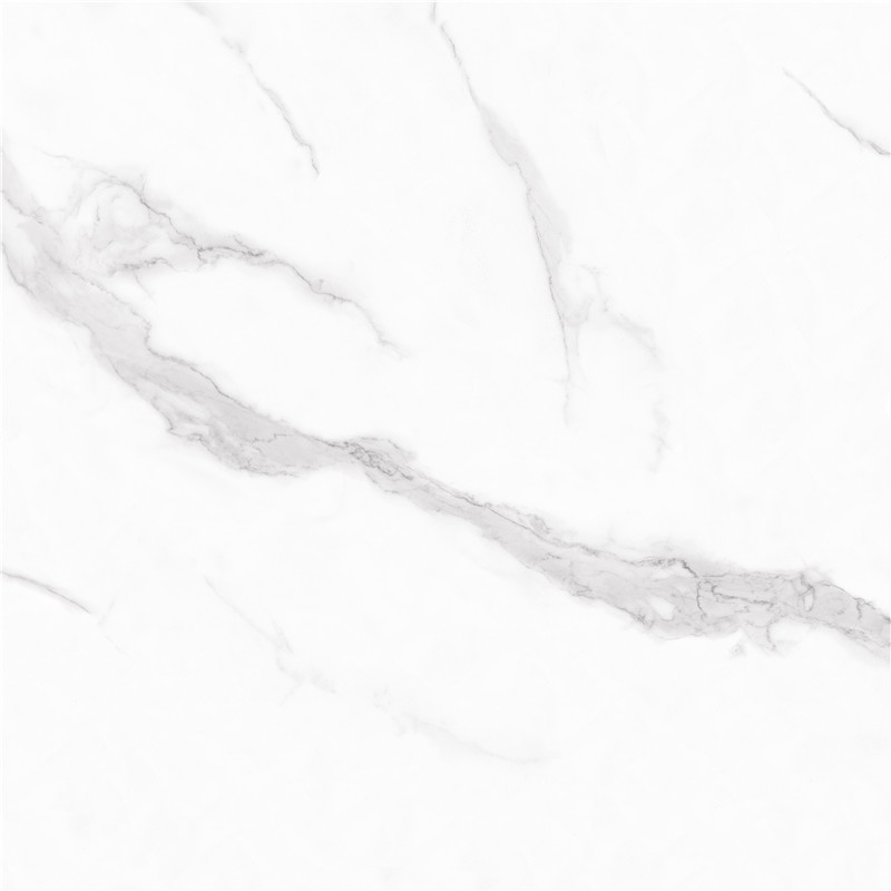 A-888LW01-踏雪寻梅