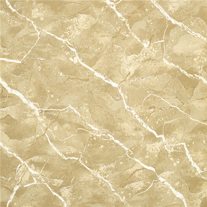 HH-A808-时代辉煌