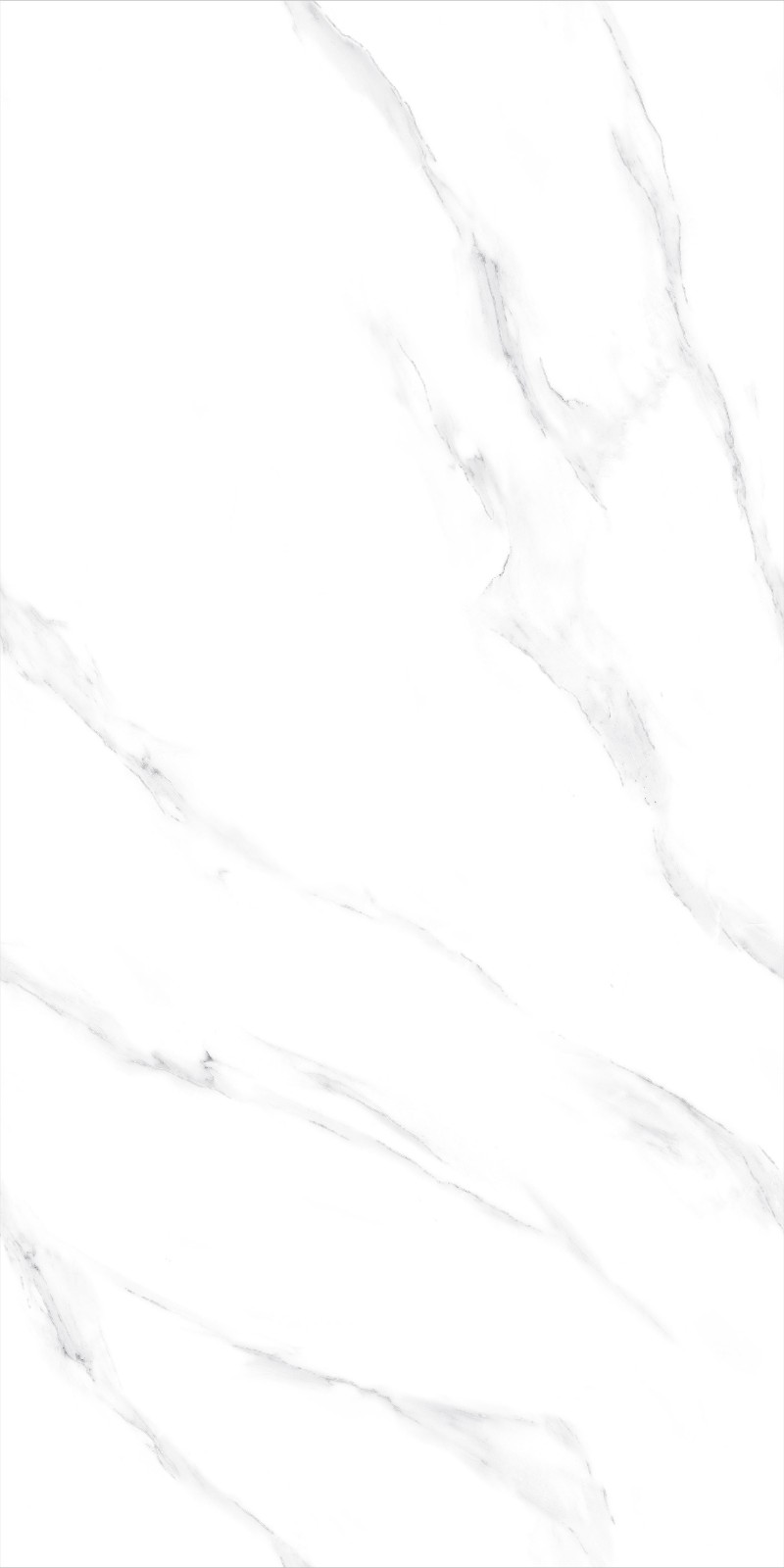 JZ715000A 俄罗斯银