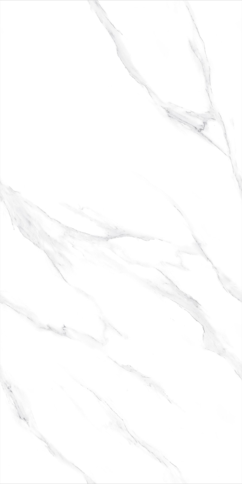 JZ715000A 俄罗斯银