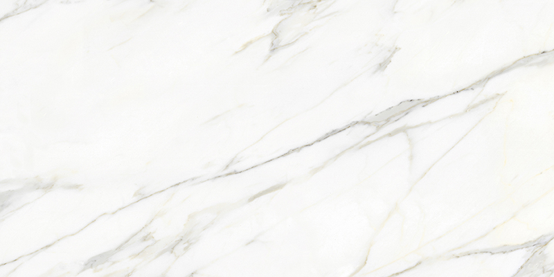 A1-ZB48812-伯爵白