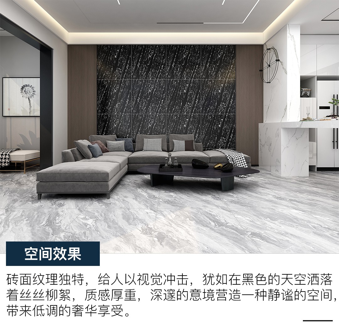 1601175321447398.jpg 87A-白金银龙X.jpg