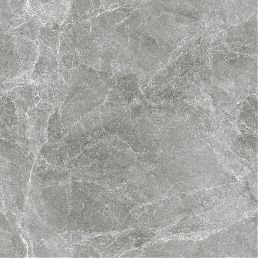 A-666w8319-启明灰