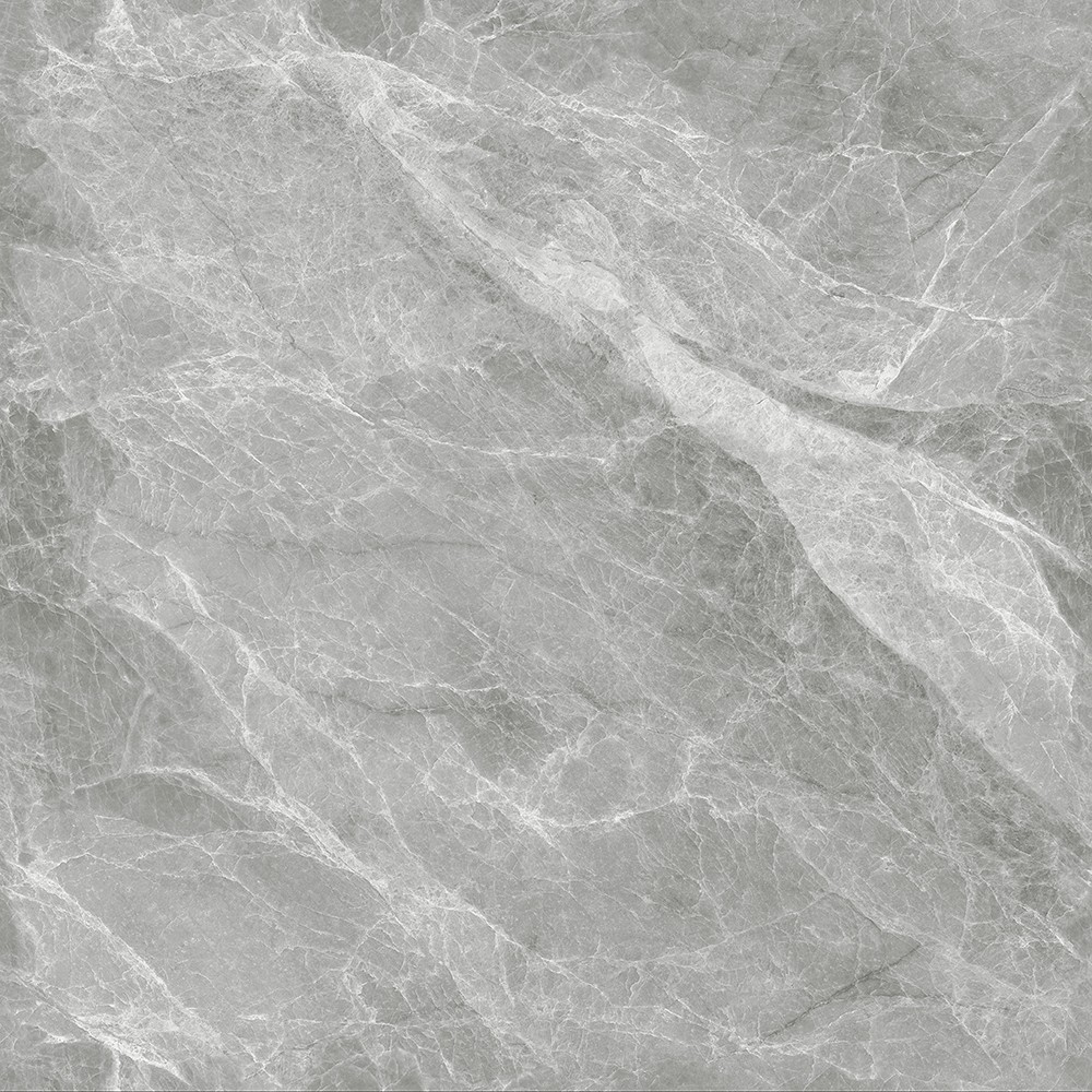 A-666w8319-启明灰