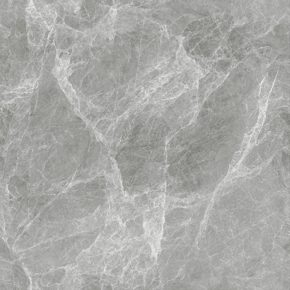 A-666w8319-启明灰