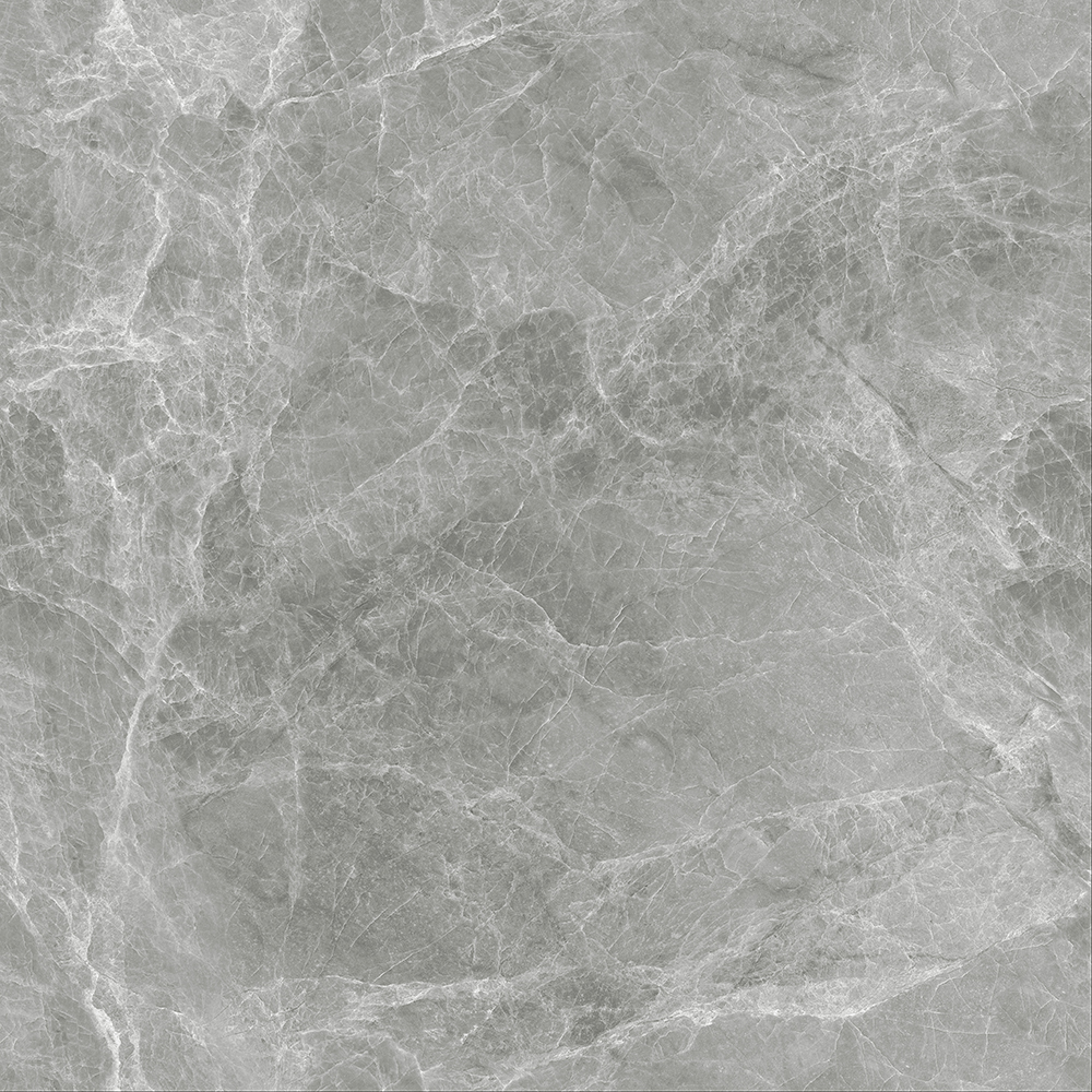 A-666w8319-启明灰