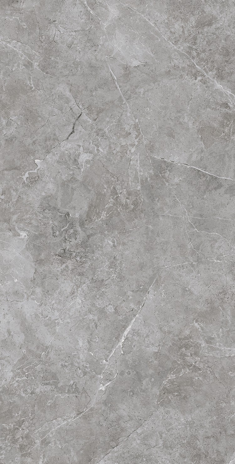 XD715079 蝶恋墨石