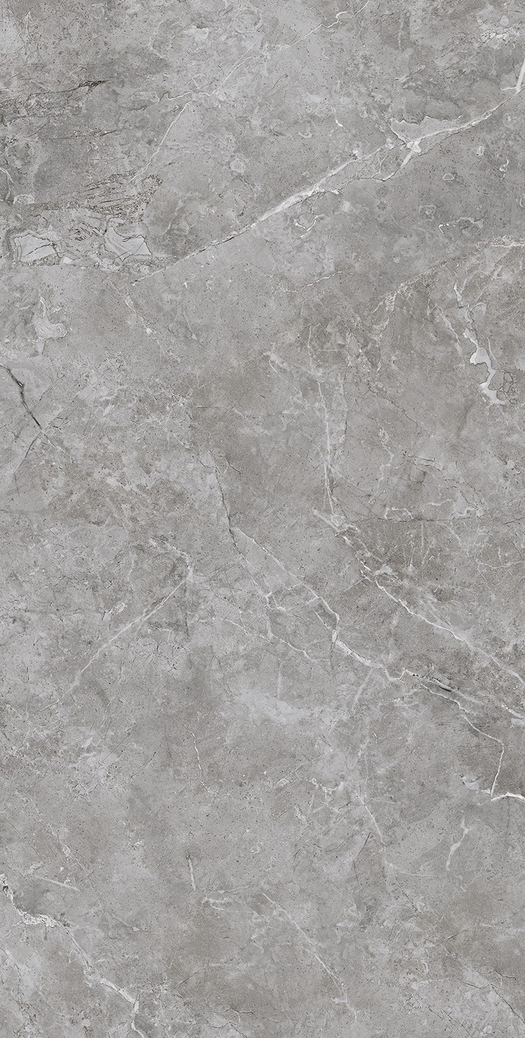 XD715079 蝶恋墨石