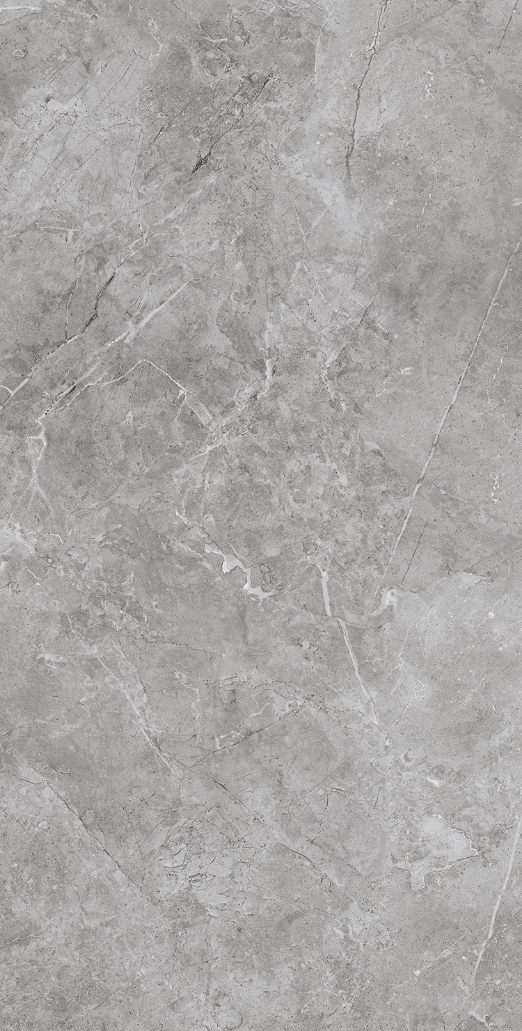 XD715079 蝶恋墨石