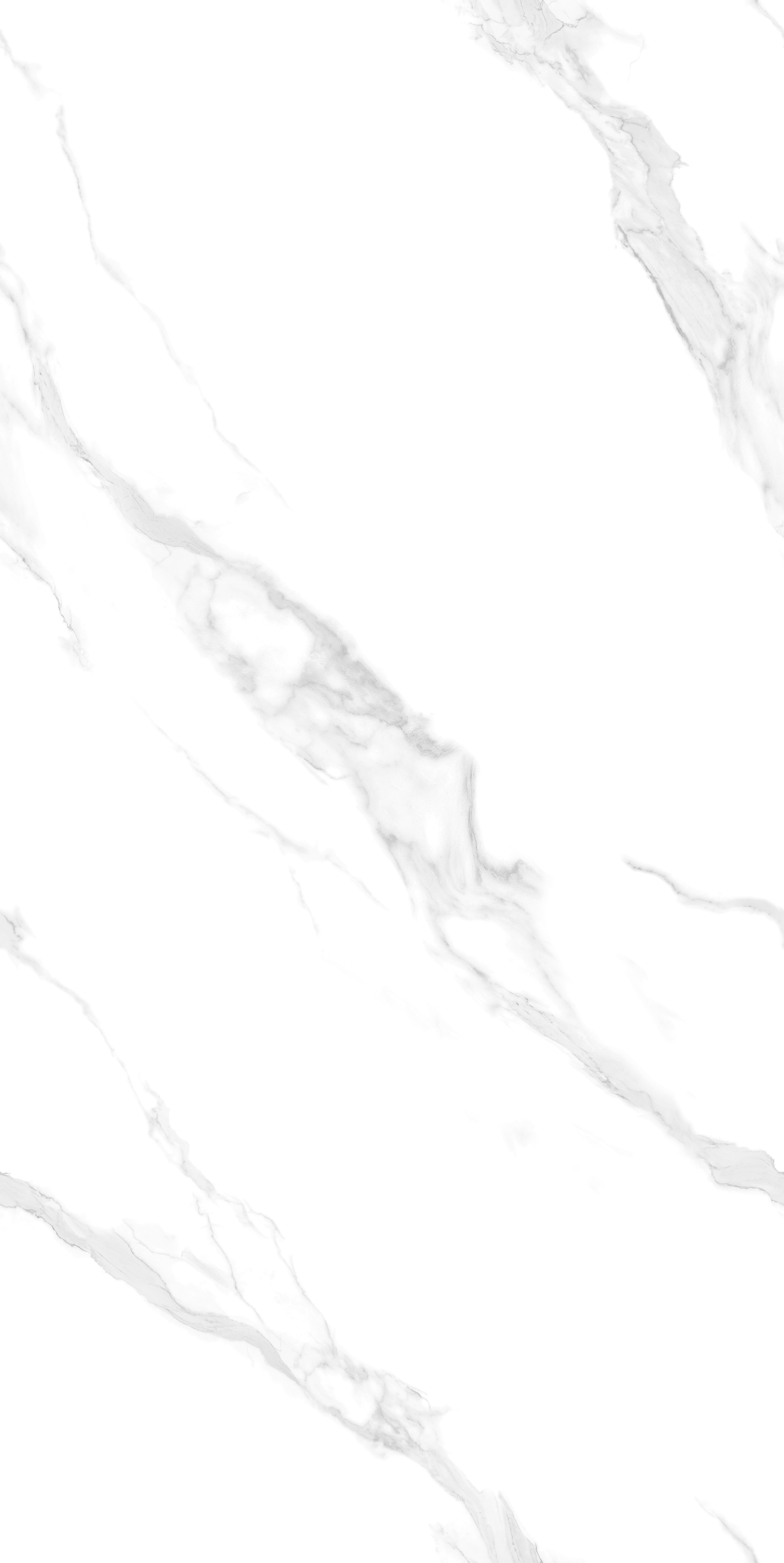 T18951 阿尔卑斯白