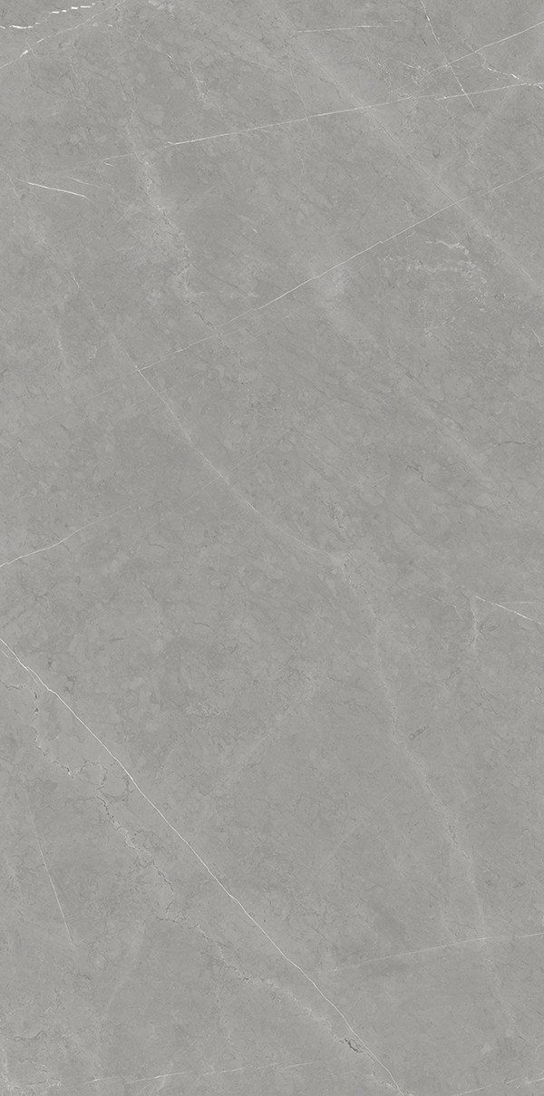 XD126709-拉斐尔灰