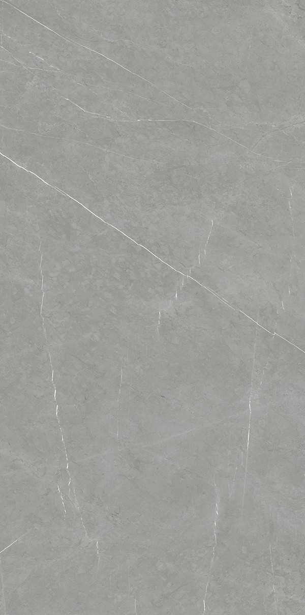 XD126709-拉斐尔灰