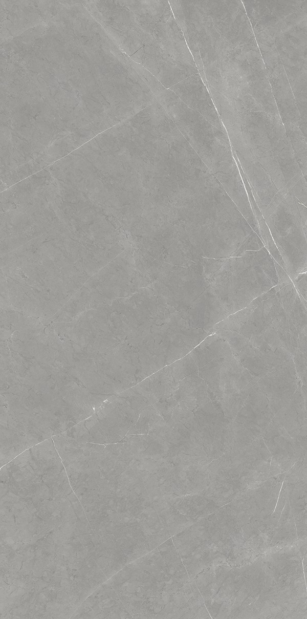 XD126709-拉斐尔灰