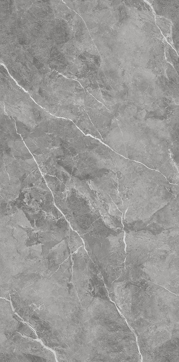 XD126710-莫兰迪灰