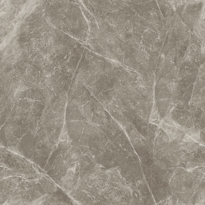 A-13CH807 欧米茄灰