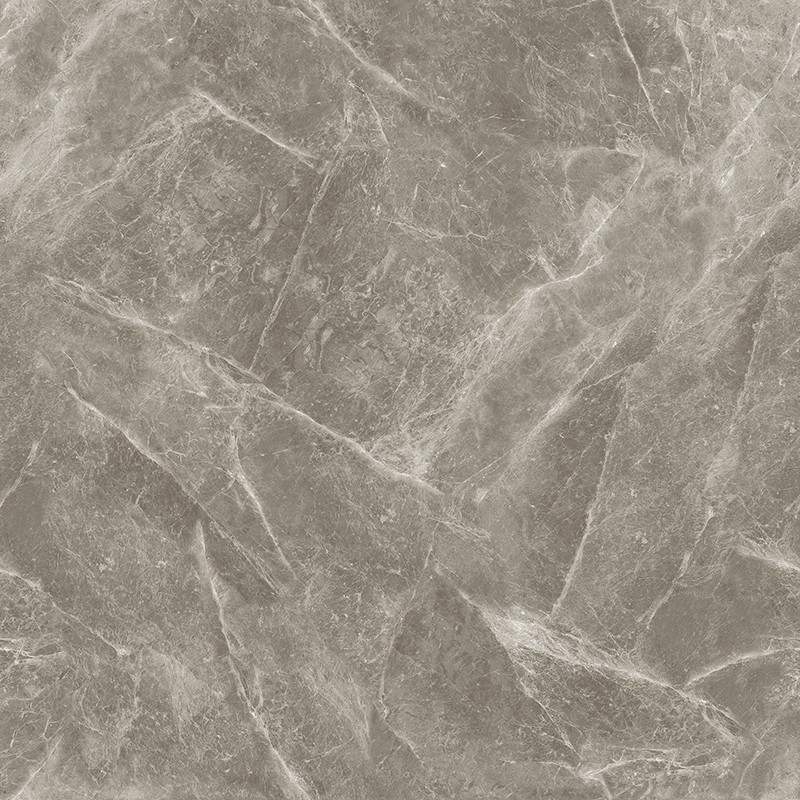 A-13CH807 欧米茄灰