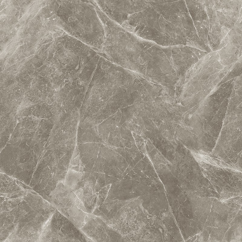 A-13CH807 欧米茄灰