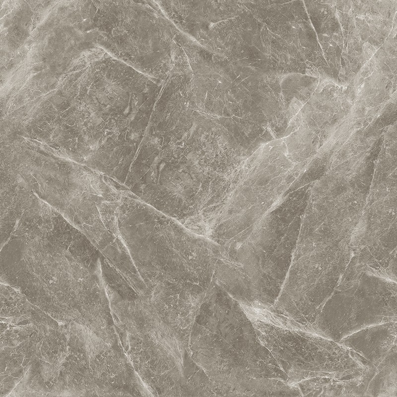 A-13CH807 欧米茄灰