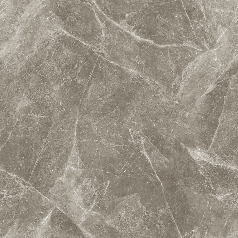 A-13CH807 欧米茄灰