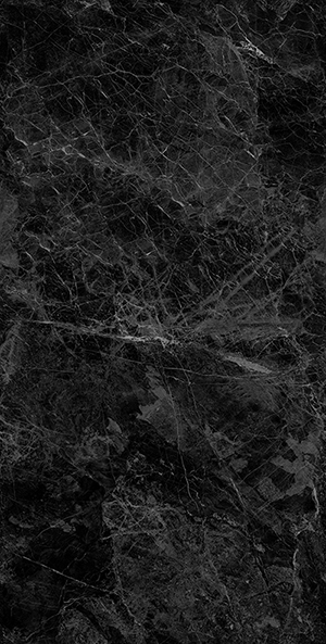 YB715067B-夜舟荷塘