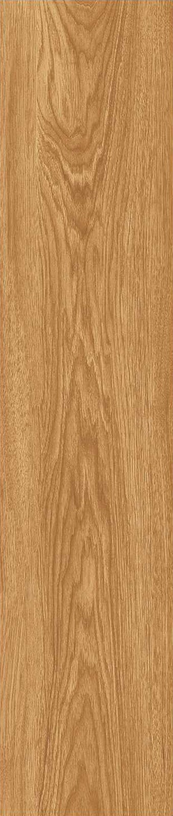 JMT1205-北美胡杨