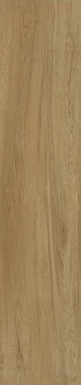 JMT1206-南美榆木