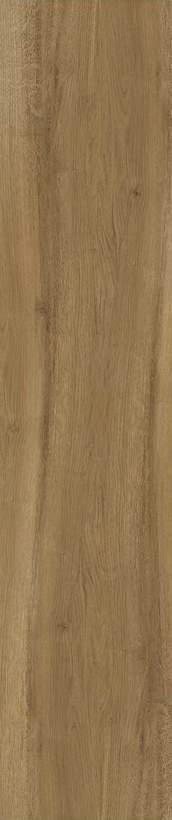 JMT1206-南美榆木