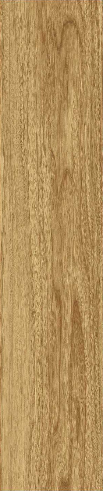 JMT1207-东洋樱桃