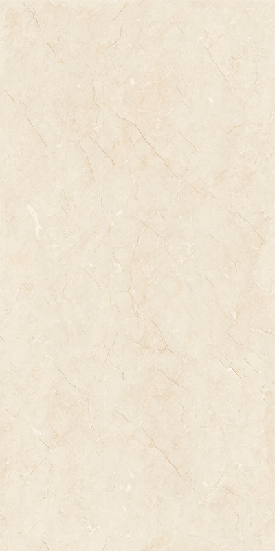 GT715105H极品莎安娜