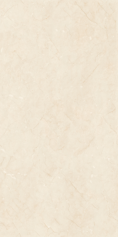 GT715105H极品莎安娜