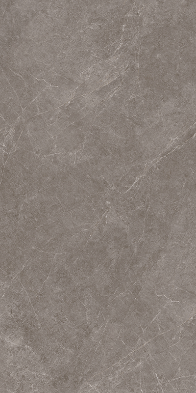 NS715816明珠灰黄