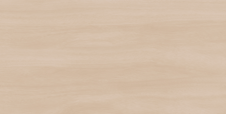 WS126210 楠木浅杏