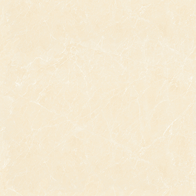 GT8871顶级白玉兰